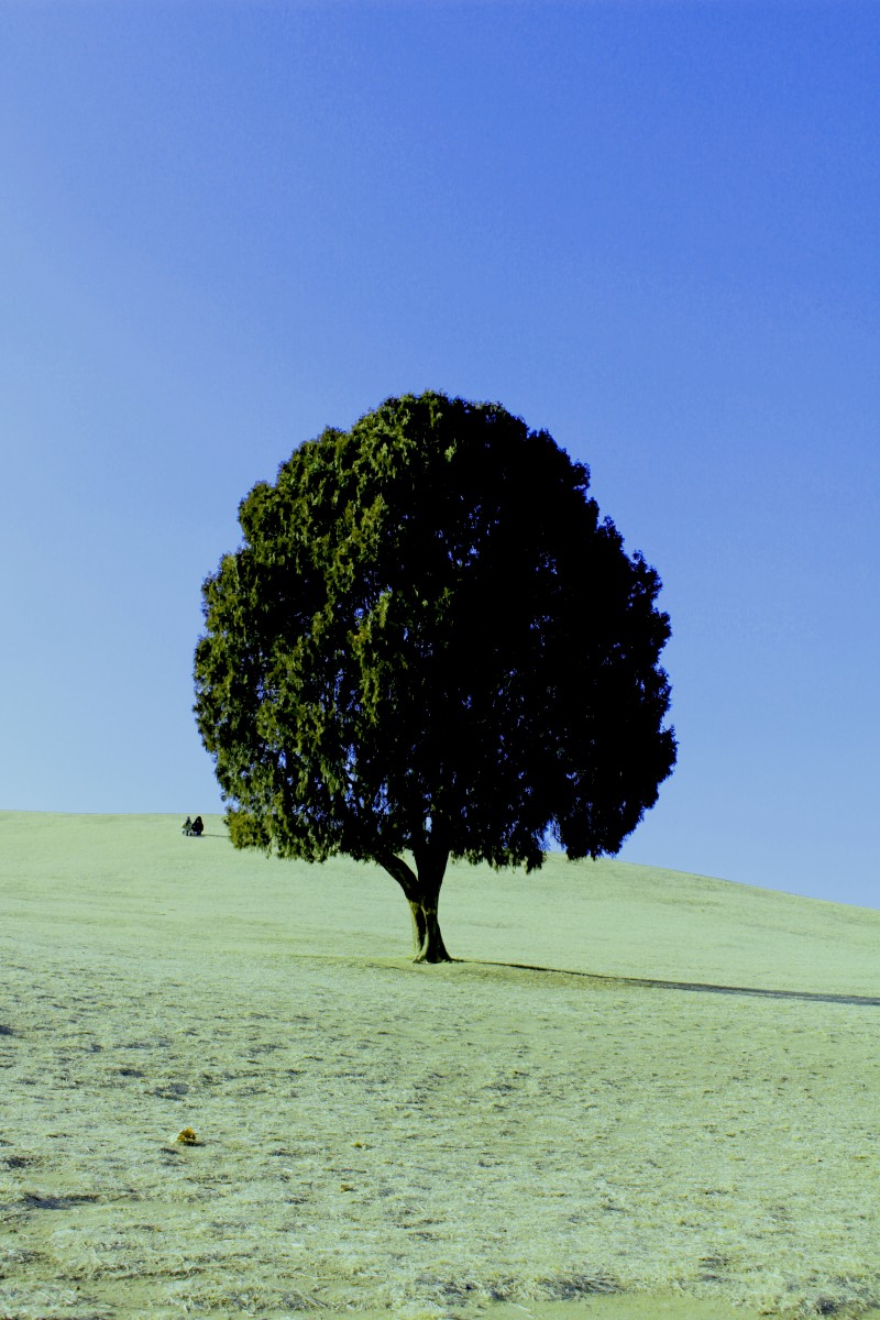 d5efcec2549b3290c7dd2ece2715259f_1525663